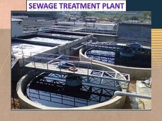 Sewage Treatment Plant.pptx
