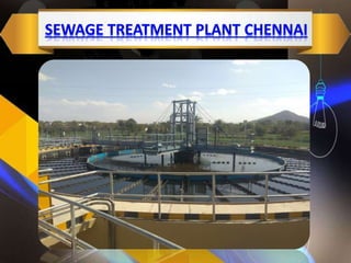 Sewage Treatment Plant Chennai.pptx