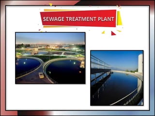 Sewage Treatment Plant in Chennai.pptx
