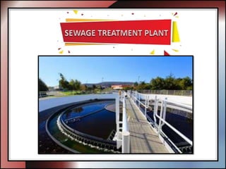 Sewage Treatment Plant in Chennai.pptx