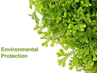 Environmental
Protection
 