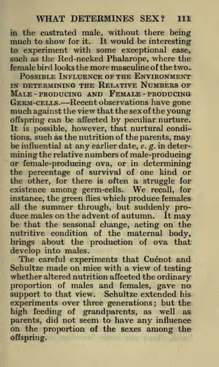 WHAT DETERMINES SEX?

Ill

in the castrated male, without there being
much to show for it. It would be interesting

to experiment with some exceptional case,
such as the Red-necked Phalarope, where the
female bird looks the more masculine of the two.

POSSIBLE INFLUENCE OF THE ENVIRONMENT
THE RELATIVE NUMBERS OF

IN DETERMINING

MALE PRODUCING AND FEMALE - PRODUCING
-

GERM-CELLS.

Recent observations have gone

much against the view that the sex of the young
offspring can be affected

by peculiar nurture.

It is possible, however, that nurtural conditions, such as the nutrition of the parents,
be influential at any earlier date, e. g. in determining the relative numbers of male-producing
or female-producing ova, or in determining
the percentage of survival of one kind or
the other, for there is often a struggle for

may

We

existence among germ-cells.
recall, for
instance, the green flies which produce females

the summer through, but suddenly produce males on the advent of autumn. It may
be that the seasonal change, acting on the
nutritive condition of the maternal body,
brings about the production of ova that
develop into males.
The careful experiments that Cuenot and
Schultze made on mice with a view of testing
whether altered nutrition affected the ordinary
proportion of males and females, gave no
support to that view. Schultze extended his
experiments over three generations but the
all

;

high feeding of grandparents, as well as
parents, did not seem to have any influence
on the proportion of the sexes among the
offspring.

 