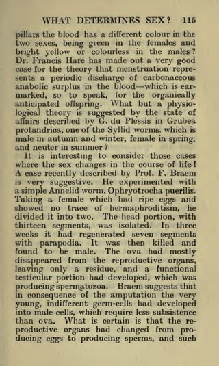 WHAT DETERMINES SEX?

115

the blood has a different colour in the
sexes, being green in the females and
bright yellow or colourless in the males ?
pillars

two

Dr. Francis Hare has made out a very good
case for the theory that menstruation represents a periodic discharge of carbonaceous
anabolic surplus in the blood which is earmarked, so to speak, for the organically
anticipated offspring. What but a physiological theory is suggested by the state of
affairs described by G. du Plessis in Grubea
protandrica, one of the Syllid worms, which is
male in autumn and winter, female in spring,
and neuter in summer ?
It is interesting to consider those cases
where the sex changes in the course of life
A case recently described by Prof. F. Braem
is very suggestive.
He experimented with
a simple Annelid worm, Ophryotrocha puerilis.
Taking a female which had ripe eggs and
!

showed no trace
divided

it

into two.

of

hermaphroditism, he
portion, with

The head

segments, was isolated. In three
had regenerated seven segments
with parapodia. It was then killed and
found to be male. The ova had mostly
disappeared from the reproductive organs,
leaving only a residue, and a functional
testicular portion had developed, which was
producing spermatozoa. Braem suggests that
in consequence of the amputation the very

thirteen

weeks

it

young, indifferent germ-cells had developed
into male cells, which require less subsistence
than ova. What is certain is that the reproductive organs had changed from producing eggs to producing sperms, and such

 