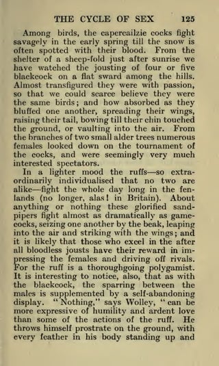 THE CYCLE OF SEX

125

Among birds, the capercailzie cocks fight
savagely in the early spring till the snow is
often spotted with their blood. From the
shelter of a sheep-fold just after sunrise we
have watched the jousting of four or five
blackcock on a flat sward among the hills.
Almost transfigured they were with passion,
so that we could scarce believe they were
the same birds and how absorbed as they
bluffed one another, spreading their wings,
raising their tail, bowing till their chin touched
the ground, or vaulting into the air. From
the branches of two small alder trees numerous
females looked down on the tournament of
the cocks, and were seemingly very much
;

interested spectators.

In a lighter mood the ruffs so extraordinarily individualised that no two are
alike
fight the whole day long in the fenlands (no longer, alas ! in Britain). About
anything or nothing these glorified sandpipers fight almost as dramatically as gamecocks, seizing one another by the beak, leaping
into the air and striking with the wings ; and
it is likely that those who excel in the after
all bloodless jousts have their reward in im-

pressing the females and driving off rivals.
For the ruff is a thoroughgoing polygamist.
It is interesting to notice, also, that as with
the blackcock, the sparring between the

males

supplemented by a self-abandoning
"
"
can be
Nothing," says Wolley,
more expressive of humility and ardent love
than some of the actions of the ruff. He
throws himself prostrate on the ground, with
every feather in his body standing up and
is

display.

 