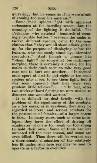 SEX

126

but he seems as if he were afraid
coming too near his mistress."
Some male spiders fight with apparent

quivering
of

;

seriousness at the breeding season, but the
meaning of the fighting" is doubtful. The

Peckhams, who watched hundreds of seem"
between the males in

ingly terrible battles

twelve different species, came to the con"
clusion that
they are all sham affairs gotten
for the purpose of displaying before the
up
females, who commonly stand by, interested
spectators." " And though a phrase like
"
sham fight
be somewhat too anthropomorphic, there is certainly a puzzle, for the
males in their duels seem to take very good
"
care not to hurt one another.
It seemed
cruel sport at first to put eight or ten male
spiders into a box to see them fight, but it
was soon apparent that they were very
"In fact, after
.
prudent little fellows."
two weeks of hard fighting we were unable to
discover one wounded warrior."
It is difficult to deal briefly with the
problem of the significance of the combats.
In a few cases, as in sea-lions, they may be
regarded as literal and serious combats for
the possession of females of a larger harem
In many cases, such as some antein fact.
lopes, they have the effect of driving oft
candidates who are too weak or too young
to hold their own. Some of these are left
unmated till the next season, and some are
even killed. Thus there will be worked out
a discriminate elimination of the relatively
less fit males, and here sex may be said to
operate as a factor in evolution.
.

.

 