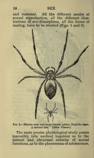 SEX

18

and mammal.

the different modes of
all the different illustrations of sex-dimorphism, all the forms of
mating, have to be studied (Figs. 1 and 2).
All

sexual reproduction,

Fia. 2.

Minute male and large female spider, Nephila njga>
f natural size. (After Vinson.)

The more precise physiological study passes
insensibly into medical inquiries as to the
normal and abnormal exercise of sexual
functions, as to the phenomena of adolescence,

 