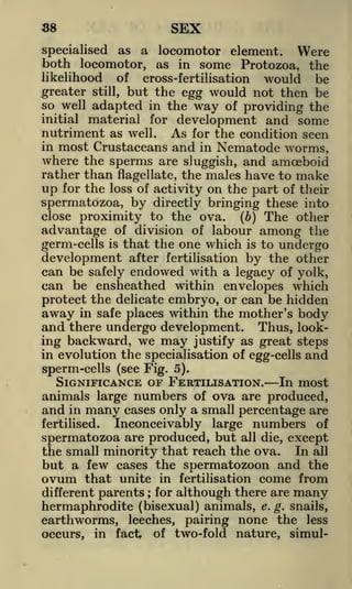 38

SEX

as a locomotor element. Were
both loeomotor, as in some Protozoa, the
likelihood of cross-fertilisation would be
greater still, but the egg would not then be
so well adapted in the way of providing the
initial material for development and some
nutriment as well. As for the condition seen
in most Crustaceans and in Nematode worms,
where the sperms are sluggish, and amoeboid
rather than flagellate, the males have to make
up for the loss of activity on the part of their
spermatozoa, by directly bringing these into
close proximity to the ova.
(b) The other
advantage of division of labour among the
germ-cells is that the one which is to undergo
development after fertilisation by the other
can be safely endowed with a legacy of yolk,
can be ensheathed within envelopes which
protect the delicate embryo, or can be hidden
away in safe places within the mother's body
and there undergo development. Thus, looking backward, we may justify as great steps
specialised

in evolution the specialisation of egg-cells
sperm-cells (see Fig. 5).

and

SIGNIFICANCE OF FERTILISATION. In most
animals large numbers of ova are produced,
and in many cases only a small percentage are
fertilised.
Inconceivably large numbers of
spermatozoa are produced, but all die, except
the small minority that reach the ova. In all
but a few cases the spermatozoon and the
ovum that unite in fertilisation come from
different parents ; for although there are many
hermaphrodite (bisexual) animals, e. g. snails,
earthworms, leeches, pairing none the less
occurs, in fact, of two-fold nature, simul-

 