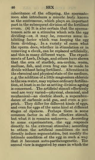 SEX

40

inheritance of the offspring, the spermatozoon also introduces a minute body known
as the centrosome, which plays an important
part in the subsequent division of the fertilised
ovum. (4) It is also certain that the spermatozoon acts as a stimulus which sets the egg

dividing or, it may be, removes some inhibiting factor which was keeping the egg
from dividing. In a variety of cases what
the sperm does, whether in stimulation or in
removing a check, can be replaced artificially,

and this in many different ways. The experiments of Loeb, Delage, and others have shown
that the ova of starfish, sea-urchin, worm,
mollusc, fish, and even frog can be made to
divide without being fertilised. Alterations in
the chemical and physical state of the medium,
e. g. the addition of a little magnesium chloride
to the sea-water, may replace ordinary fertilisation, at least in so far as setting division agoing
The artificial stimuli effectively
is concerned.
used are very varied physical, chemical, and
mechanical an electric shock, a superabundance of carbonic acid gas, and even a pinThey differ for different kinds of eggs,
prick.
and even for eggs of the same kind at different
stages of ripeness. Perhaps there is some
common factor in all the effective stimuli,
it is remains unknown.
According
some experimenters, the egg responds

but what
to

directly to the external stimulus; according
to others the artificial conditions do not
directly induce segmentation, but modify the
intimate condition of the egg in such a way

that it becomes auto-parthenogenetic. The
second view is suggested by cases in which the

 
