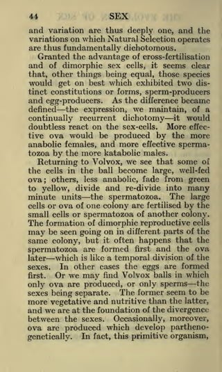 44

SEX

and variation are thus deeply one, and the
variations on which Natural Selection operates
are thus fundamentally dichotomous.
Granted the advantage of cross-fertilisation

and of dimorphic sex cells, it seems clear
that, other things being equal, those species
would get on best which exhibited two

dis-

tinct constitutions or forms, sperm-producers
and egg-producers. As the difference became
defined the expression, we maintain, of a

continually recurrent dichotomy it would
doubtless react on the sex-cells. More effective ova would be produced by the more
anabolic females, and more effective spermatozoa by the more katabolic males.
Returning to Volvox, we see that some of
the cells in the ball become large, well-fed
ova; others, less anabolic, fade from green
to yellow, divide and re-divide into many
minute units the spermatozoa. The large
cells or ova of one colony are fertilised by the
small cells or spermatozoa of another colony.

The formation

of dimorphic reproductive cells
be seen going on in different parts of the
may
same colony, but it often happens that the
spermatozoa are formed first and the ova
which is like a temporal division of the
later
In other cases the eggs are formed
sexes.
Or we may find Volvox balls in which
first.
only ova are produced, or only sperms the
sexes being separate. The former seem to be
more vegetative and nutritive than the latter,
and we are at the foundation of the divergence
between the sexes. Occasionally, moreover,
ova are produced which develop parthenoIn fact, this primitive organism,
genetically.

 