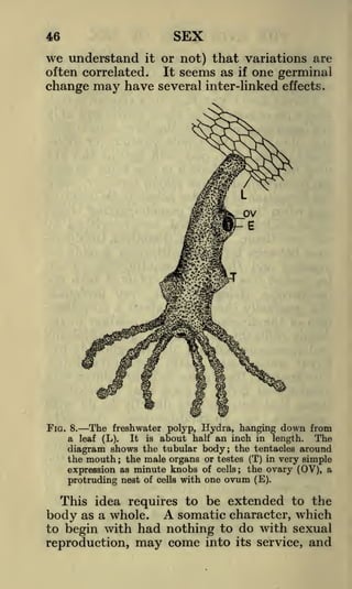 SEX

46

we understand

or not) that variations are
It seems as if one germinal
have several inter-linked effects.
it

often correlated.

change

FIG.

may

S.
The freshwater polyp, Hydra, hanging down from
a leaf (L). It is about half an inch in length. The
diagram shows the tubular body; the tentacles around
the mouth ; the male organs or testes (T) in very simple
expression as minute knobs of cells; the ovary (0V), a
protruding nest of cells with one ovum (E).

This idea requires to be extended to the
as a whole. A somatic character, which
to begin with had nothing to do with sexual
reproduction, may come into its service, and

body

 