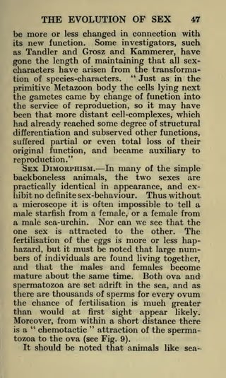 THE EVOLUTION OF SEX
be more or
its

new

less

changed

function.

Some

in connection

47

with

investigators, such

and Grosz and Kammerer, have
the length of maintaining that all sexgone
characters have arisen from the transforma"
Just as in the
tion of species-characters.
Metazoon body the cells lying next
primitive
the gametes came by change of function into
the service of reproduction, so it may have
been that more distant cell -complexes, which
had already reached some degree of structural
differentiation and subserved other functions,
as Tandler

suffered partial or even total loss of their
original function, and became auxiliary to

reproduction."

SEX DIMORPHISM.

In many of the simple
animals, the two sexes are
practically identical in appearance, and exThus without
hibit no definite sex-behaviour.
a microscope it is often impossible to tell a
male starfish from a female, or a female from
a male sea-urchin. Nor can we see that the
one sex is attracted to the other. The
fertilisation of the eggs is more or less haphazard, but it must be noted that large numbers of individuals are found living together,
and that the males and females become
mature about the same time. Both ova and
spermatozoa are set adrift in the sea, and as
there are thousands of sperms for every ovum
the chance of fertilisation is much greater
than would at first sight appear likely.
Moreover, from within a short distance there
"
"
is a
chemotactic attraction of the spermatozoa to the ova (see Fig. 9).
It should be noted that animals like sea-

backboneless

 