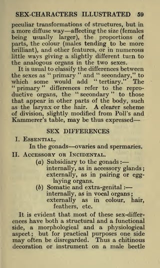 SEX-CHARACTERS ILLUSTRATED

59

peculiar transformations of structures, but in
a more diffuse way affecting the size (females
being usually larger), the proportions of
parts, the colour (males tending to be more
brilliant), and other features, or in numerous
little ways giving a slightly different turn to
the analogous organs in the two sexes.
It is usual to classify the differences between
"
"
"
the sexes as
primary and secondary," to

"
The
which some would add
tertiary."
"
"
refer to the reprodifferences
primary
"
"
to those
ductive organs, the
secondary
that appear in other parts of the body, such
A clearer scheme
as the larynx or the hair.
of division, slightly modified from Poll's and
Kammerer's table, may be thus expressed

SEX DIFFERENCES
I.

II.

ESSENTIAL.
In the gonads

ovaries and spermaries.
ACCESSORY OR INCIDENTAL.
(a)

Subsidiary to the gonads

:

internally, as in accessory glands ;
externally, as in pairing or egg-

laying organs.
(ft)

Somatic and extra-genital

:

internally, as in vocal organs ;
externally as in colour, hair,
feathers, etc.
It is evident that most of these sex-differences have both a structural and a functional
side, a morphological and a physiological
aspect; but for practical purposes one side
may often be disregarded. Thus a chitinous
decoration or instrument on a male beetle

 