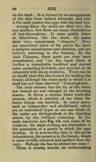 SEX

64

It is formed by an invagination
from behind forwards, and into
it the male pushes the eggs with his hind feet.
Among fishes the sexes are often very like
one another, but there are many illustrations

on the back.
of the skin

In some gristly fishes
the skate, the males
"
have very conspicuous
claspers."
They
are specialised parts of the pelvic fin, have
a complex musculature and skeleton, and are
In the
entirely awanting in the females.
male Chimsera, these parts are even more
"
on the head there is
complicated, and
further a remarkable knobbed and curved
spine projecting forwards, and covered at its
extremity with sharp denticles. There can be
no doubt that this also is used for holding the
female, although the exact mode in which it is
"
used has not been observed (Cunningham).
The male salmon has the tip of the lower
jaw turned up and enlarged at the breeding
season. It forms a curious blunt hook-like
process, which is possibly of use when the
males charge one another. In many cases,
such as lumpsucker and stickleback, which
are as contrasted types as one can think of,
the males are distinguished at the breeding
season by the brilliant colouring. In the
of

or

sex-dimorphism.
Selachians,

like

male sea-horse (see Fig. 12) and some of its
relatives, the most striking sex-distinction is
the possession of a pouch in which the eggs
develop. It is noteworthy that in the genus
Solenostoma, the pouch is in the female, which
is more vividly coloured and spotted than the
male. Perhaps she has to attract her mate
There is among insects an embarrassing
1

 