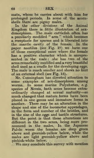 SEX

68

mate, whom he carries about with him for
prolonged periods. In some of the acorn-

pigmy males.
other divisions of the Animal
Kingdom there is little illustration of sexdimorphism. The male cuttlefish often has
"
arm " which becomes
a peculiarly modified
a receptacle for sperms and is liberated into
the mantle cavity of the female. In the
paper nautilus (see Fig. 17) we have one
of those exceptional cases where the female
has a positive character which is unrepreshe has two of the
sented in the male
arms remarkably modified and a very beautiful
shell used as a cradle for the developing eggs.
The male is much smaller and shows no hint
of an external shell (see Fig. 18).
Mr. Cunningham has directed attention to
shells there are

In

the

:

some examples of sex-dimorphism among
worms. In some marine Polychaetes, e. g.
species of Nereis, both sexes become extrachanged at sexual maturity so
that mature forms have been
in one genus and immature forms in
placed
another. There may be an alteration in the
shape and size of the locomotor appendages,
in the form and number of the bristles, and
in the size of the eggs and tactile structures.
ordinarily

much changed

is that these alterations are
different in the two sexes, being more pronounced in the males. In the Japanese

But the point

Palolo worm the females are deep green
above and greenish-yellow below, while the
males are light greenish-yellow above and

pinkish-white below.
We may conclude this survey with mention

 