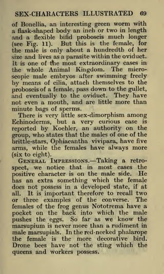 SEX-CHARACTERS ILLUSTRATED

69

an interesting green worm with
a flask-shaped body an inch or two in length
and a flexible bifid proboscis much longer
But this is the female, for
(see Fig. 11).
the male is only about a hundredth of her
size and lives as a parasite within the oviduct.
of Bonellia,

one of tftie most extraordinary cases in
whole Animal Kingdom. The microscopic male embryos after swimming freely
It is

the

by means

of cilia, attach themselves to the
of a female, pass down to the gullet,
proboscis

and eventually to the oviduct. They have
not even a mouth, and are little more than
minute bags of sperms.

There is very little sex-dimorphism among
Echinoderms, but a very curious case is
reported by Koehler, an authority on the
group, who states that the males of one of the
brittle-stars, Ophiacantha vivipara, have five
arms, while the females have always more
(six to eight).

GENERAL IMPRESSIONS. Taking a retrospect, we notice that in most cases the
He
positive character is on the male side.
has an extra something which the female
does not possess in a developed state, if at
It is important therefore to recall two
three examples of the converse. The
females of the frog genus Nototrema have a
pocket on the back into which the male
pushes the eggs. So far as we know the
marsupium is never more than a rudiment in
male marsupials. In the red-necked phalarope
the female is the more decorative bird.
Drone bees have not the sting which the
all.

or

queens and workers possess.

 