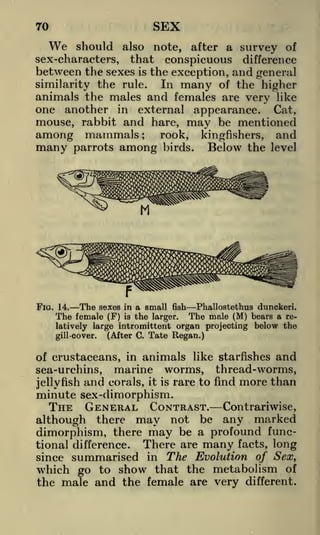 SEX

70

We

should also note, after a survey of
sex-characters, that conspicuous difference
between the sexes is the exception, and general
In many of the higher
similarity the rule.
animals the males and females are very like
one another in external appearance. Cat,
mouse, rabbit and hare, may be mentioned
rook,
among mammals
many parrots among birds.
;

The sexes
The female (F)

kingfishers,

and

Below the

level

in a small fish

Phallostethus dunckeri.
the larger. The male (M) bears a relatively large intromittent organ projecting below the
(After C. Tate Regan.)
gill-cover.

FIG. 14.

is

of crustaceans, in animals like starfishes and
sea-urchins, marine worms, thread-worms,
jellyfish and corals, it is rare to find more than

minute sex-dimorphism.
THE GENERAL CONTRAST.

Contrariwise,

although there may not be any marked
dimorphism, there may be a profound funcThere are many facts, long
tional difference.

summarised in The Evolution of Sex,
which go to show that the metabolism of
the male and the female are very different.

since

 