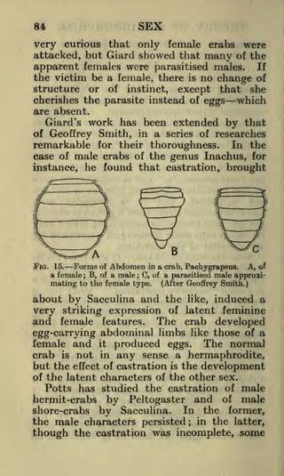 SEX

84

very curious that only female crabs were
attacked, but Giard showed that many of the
apparent females were parasitised males. If
the victim be a female, there is no change of
structure or of instinct, except that she
cherishes the parasite instead of eggs which
are absent.
Giard's work has been extended by that
of Geoffrey Smith, in a series of researches
remarkable for their thoroughness. In the
case of male crabs of the genus Inachus, for
instance, he found that castration, brought

of Abdomen in a crab, Paehygrapsus.
A, of
B, of a male C, of a parasitised male approximating to the female type. (After Geoffrey Smith.)

FIG. 15.

Forms

a female

;

;

about by Sacculina and the

like, induced a
very striking expression of latent feminine
and female features. The crab developed
egg-carrying abdominal limbs like those of a
female and it produced eggs. The normal
crab is not in any sense a hermaphrodite,
but the effect of castration is the development
of the latent characters of the other sex.
Potts has studied the castration of male
hermit-crabs by Peltogaster and of male
shore-crabs by Sacculina. In the former,
the male characters persisted; in the latter,
though the castration was incomplete, some

 