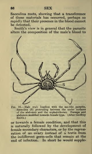 SEX

86

Sacculina roots, showing that a transference
of these materials has occurred, perhaps so
rapidly that their presence in the blood cannot
be detected.

Smith's view
alters the

FIG.

is in general that the parasite
composition of the male's blood to

Male era)) Inachus with the sac-like parasite,
16.
Sa-cculina (S) protruding between the under surfaces
of the abdomen and the cephalothorax.
Forceps and

abdomen modified towards female

type.

(After Geoffrey

Smith.)

or towards a female condition, and that this
naturally followed by the development of
female secondary characters, or by the regeneration of an ovary instead of a testis from
the indifferent germ-cells that remain at the
end of infection. In short he would suppleis

 