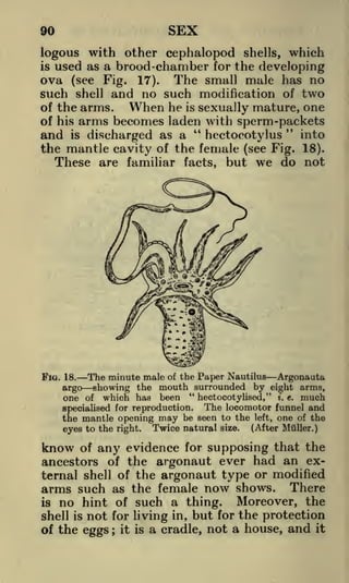 SEX

90

logous with other cephalopod shells, which
is used as a brood -chamber for the developing
ova (see Fig. 17). The small male has no
such shell and no such modification of two
of the arms.
When he is sexually mature, one
of his arms becomes laden with sperm-packets
"
into
and is discharged as a " hectocotylus
the mantle cavity of the female (see Fig. 18).
These are familiar facts, but we do not

FIG. 18.

argo

The minute male of the Paper Nautilus
showing the mouth surrounded by

one of

which has

been

"

Argonauta

eight arms,
hectocotylised," i. t. much

The locomotor funnel and
the mantle opening may be seen to the left, one of the
(After Miiller.)
eyes to the right. Twice natural size.
specialised for reproduction.

know

of any evidence for supposing that the
ancestors of the argonaut ever had an external shell of the argonaut type or modified
arms such as the female now shows. There
is no hint of such a thing.
Moreover, the
shell is not for living in, but for the protection
of the eggs ; it is a cradle, not a house, and it

 