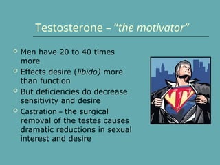 Testosterone – “the motivator”
 Men have 20 to 40 times
more
 Effects desire (libido) more
than function
 But deficiencies do decrease
sensitivity and desire
 Castration – the surgical
removal of the testes causes
dramatic reductions in sexual
interest and desire
 