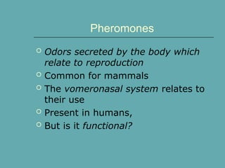 Pheromones
 Odors secreted by the body which
relate to reproduction
 Common for mammals
 The vomeronasal system relates to
their use
 Present in humans,
 But is it functional?
 