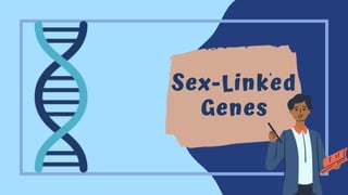 Sex-Linked
Genes
 