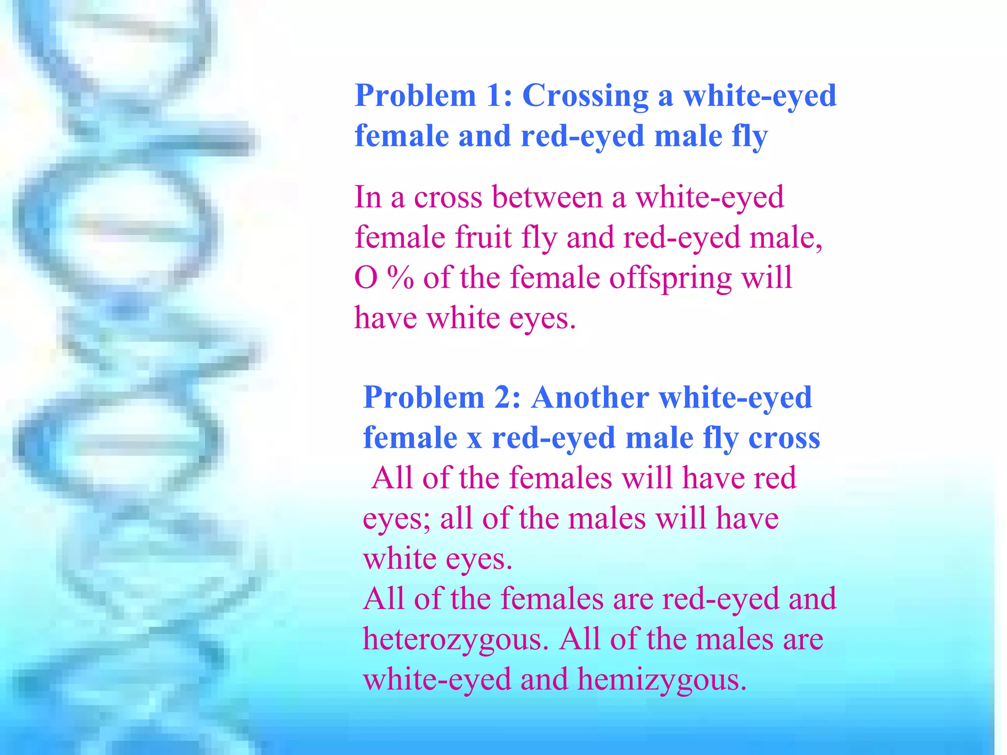 Problem 1: Crossing a white-eyed
female and red-eyed male fly
In a cross between a white-eyed
female fruit fly and red-eyed male,
O % of the female offspring will
have white eyes.

Problem 2: Another white-eyed
female x red-eyed male fly cross
 All of the females will have red
eyes; all of the males will have
white eyes.
All of the females are red-eyed and
heterozygous. All of the males are
white-eyed and hemizygous.
 
