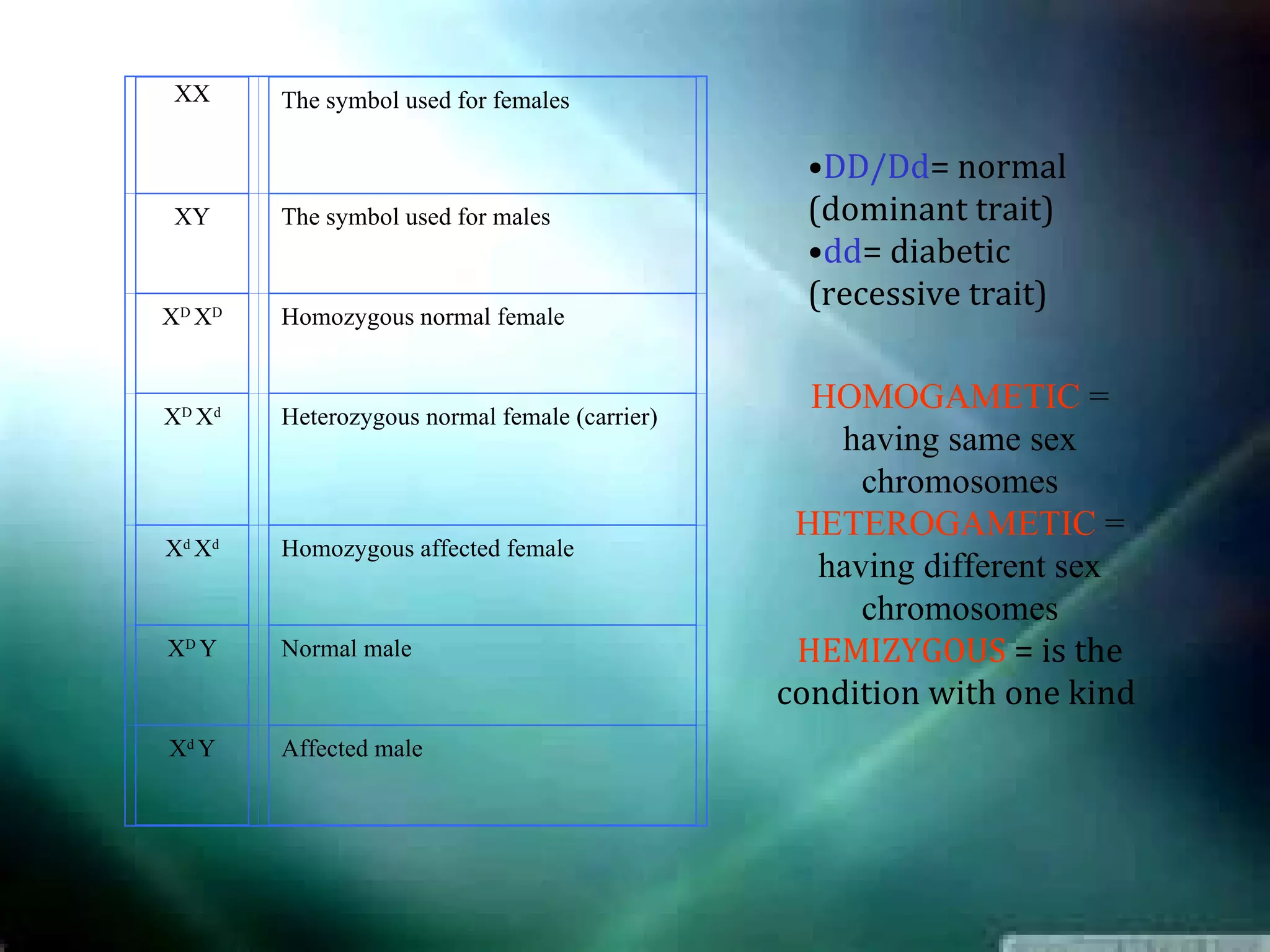 XX      The symbol used for females

                                                 •DD/Dd= normal
 XY      The symbol used for males               (dominant trait)
                                                 •dd= diabetic
                                                 (recessive trait)
XD XD    Homozygous normal female



XD X d   Heterozygous normal female (carrier)
                                                  HOMOGAMETIC =
                                                    having same sex
                                                     chromosomes
                                                 HETEROGAMETIC =
Xd Xd    Homozygous affected female
                                                  having different sex
                                                     chromosomes
XD Y     Normal male                             HEMIZYGOUS = is the
                                                condition with one kind
Xd Y     Affected male
 