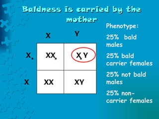 Sex linked traits | PPT