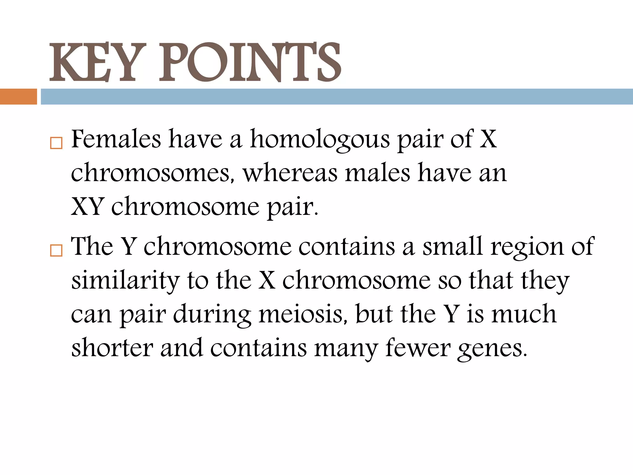 KEY POINTS
 Females have a homologous pair of X
chromosomes, whereas males have an
XY chromosome pair.
 The Y chromosome contains a small region of
similarity to the X chromosome so that they
can pair during meiosis, but the Y is much
shorter and contains many fewer genes.
 