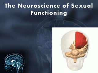 The Neuroscience of Sexual
Functioning
 