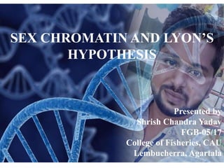 SEX CHROMATIN AND LYON’S
HYPOTHESIS
Presented by
Shrish Chandra Yadav
FGB-05/17
College of Fisheries, CAU
Lembucherra, Agartala
 