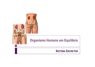 Organismo Humano em Equilíbrio

                SISTEMA EXCRETOR
 