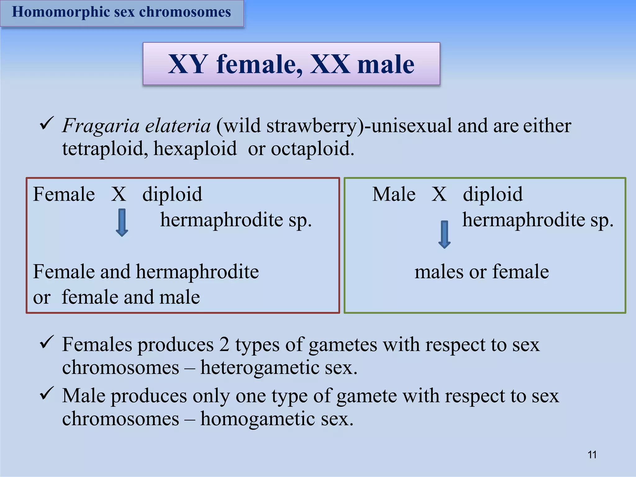 XY female, XX male
 Fragaria elateria (wild strawberry)-unisexual and are either
tetraploid, hexaploid or octaploid.
 Females produces 2 types of gametes with respect to sex
chromosomes – heterogametic sex.
 Male produces only one type of gamete with respect to sex
chromosomes – homogametic sex.
Male X diploid
hermaphrodite sp.
males or female
Female X diploid
hermaphrodite sp.
Female and hermaphrodite
or female and male
11
Homomorphic sex chromosomes
 