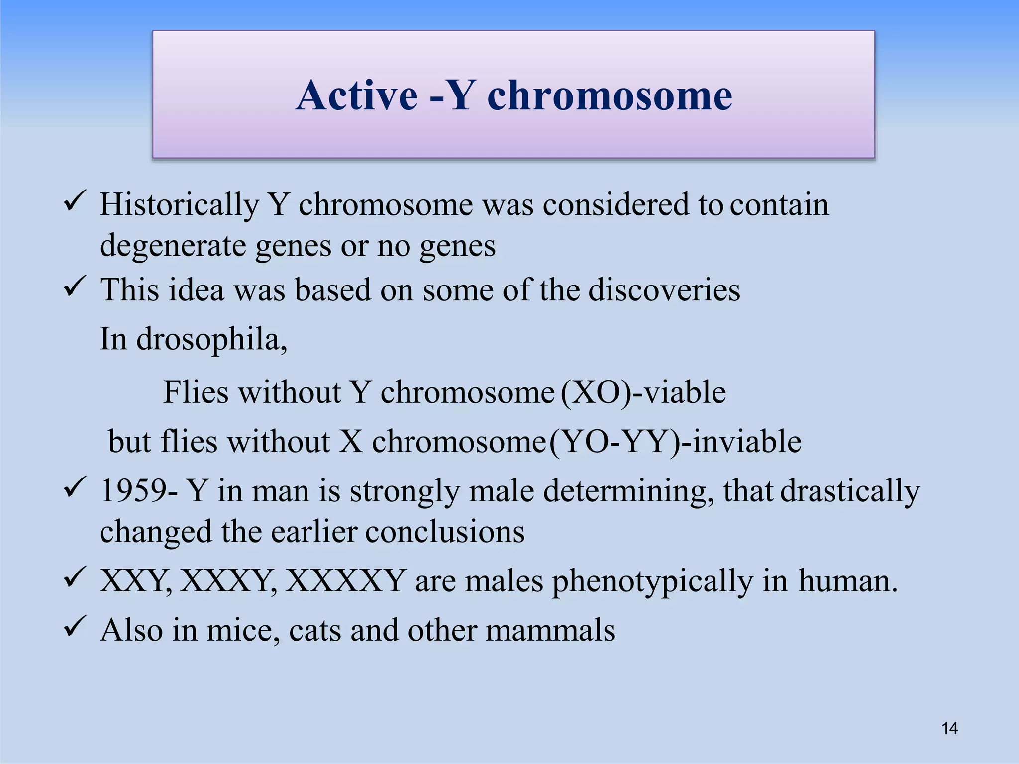 Active -Y chromosome
 Historically Y chromosome was considered to contain
degenerate genes or no genes
 This idea was based on some of the discoveries
In drosophila,
Flies without Y chromosome(XO)-viable
but flies without X chromosome(YO-YY)-inviable
 1959- Y in man is strongly male determining, that drastically
changed the earlier conclusions
 XXY, XXXY, XXXXY are males phenotypically in human.
 Also in mice, cats and other mammals
14
 