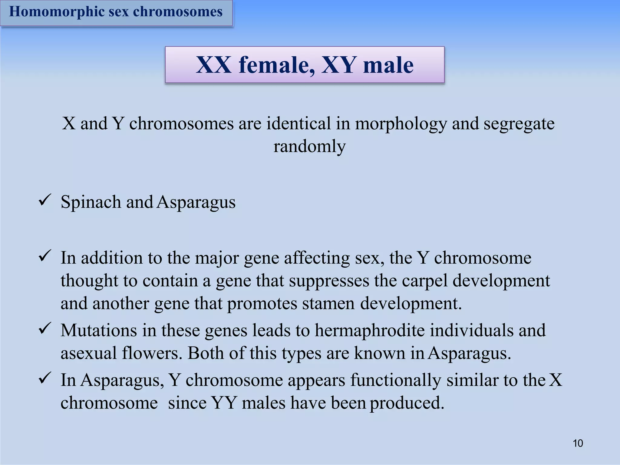 XX female, XY male
X and Y chromosomes are identical in morphology and segregate
randomly
 Spinach andAsparagus
 In addition to the major gene affecting sex, the Y chromosome
thought to contain a gene that suppresses the carpel development
and another gene that promotes stamen development.
 Mutations in these genes leads to hermaphrodite individuals and
asexual flowers. Both of this types are known inAsparagus.
 In Asparagus, Y chromosome appears functionally similar to the X
chromosome since YY males have been produced.
10
Homomorphic sex chromosomes
 