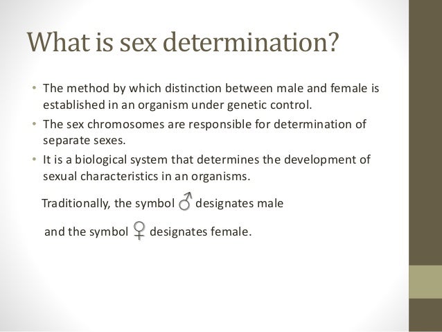 Sex Determination