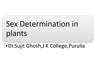 Sex determination .ppt