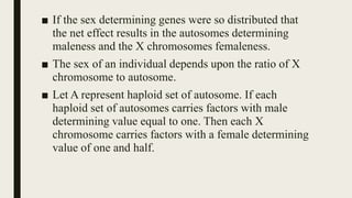 ■ If the sex determining genes were so distributed that
the net effect results in the autosomes determining
maleness and the X chromosomes femaleness.
■ The sex of an individual depends upon the ratio of X
chromosome to autosome.
■ Let A represent haploid set of autosome. If each
haploid set of autosomes carries factors with male
determining value equal to one. Then each X
chromosome carries factors with a female determining
value of one and half.
 