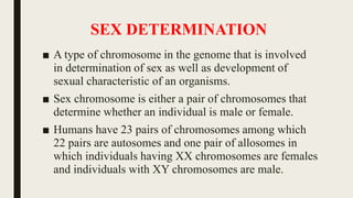 SEX DETERMINATION
■ A type of chromosome in the genome that is involved
in determination of sex as well as development of
sexual characteristic of an organisms.
■ Sex chromosome is either a pair of chromosomes that
determine whether an individual is male or female.
■ Humans have 23 pairs of chromosomes among which
22 pairs are autosomes and one pair of allosomes in
which individuals having XX chromosomes are females
and individuals with XY chromosomes are male.
 