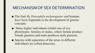 MECHANISMOF SEX DETERMINATION
■ The fruit fly Drosophila melanogaster and humans
have been important in the development of genetic
concepts.
■ Many higher individuals exhibit one of sex
phenotypes- females or males, where female produce
female gametes and male produces male gametes.
■ Species with separation of the sexes in different
individuals are called dioecious.
 