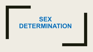 SEX
DETERMINATION
 