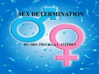 SEX DETERMINATION
BY: MRS. PRECILLA C. STEPHEN
 