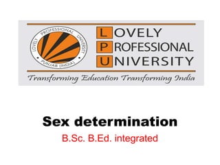 Sex determination
B.Sc. B.Ed. integrated
 