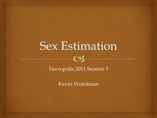 Necropolis 2011 Session 5

    Kevin Woestman
 