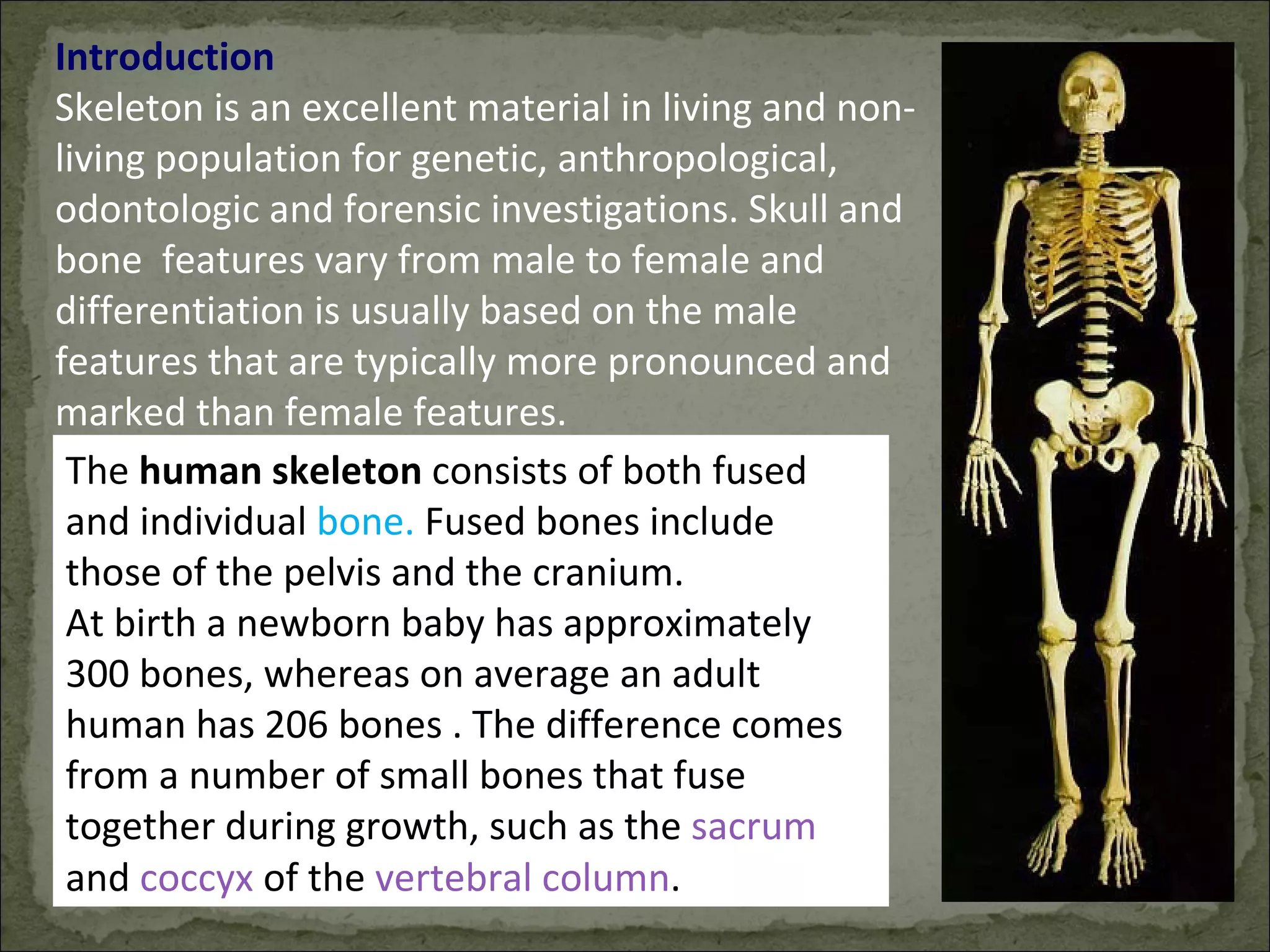 Sex Determination | PPT