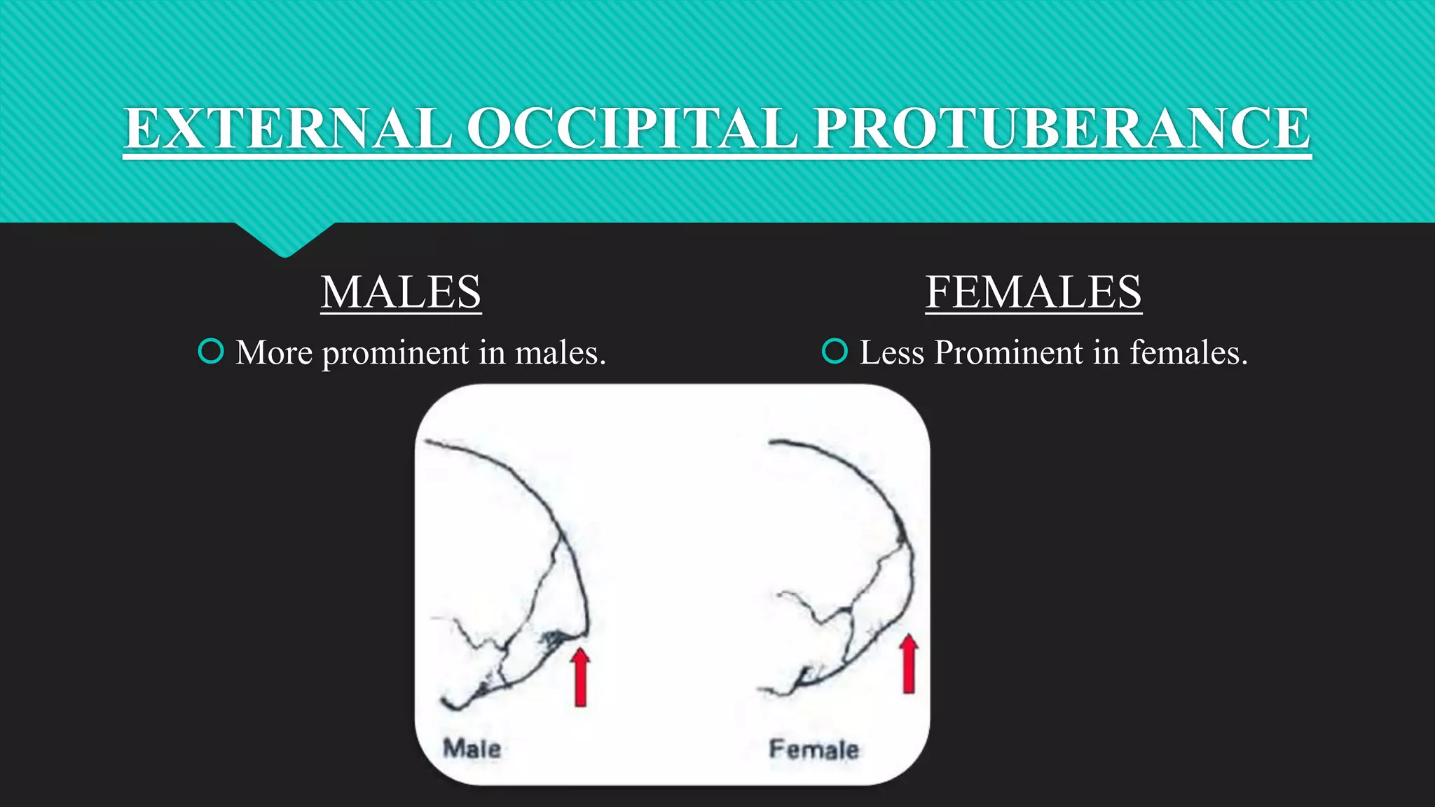 Sex determination from skull and mandible | PPTX