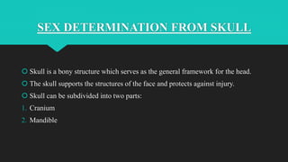 SEX DETERMINATION FROM SKULL
 Skull is a bony structure which serves as the general framework for the head.
 The skull supports the structures of the face and protects against injury.
 Skull can be subdivided into two parts:
1. Cranium
2. Mandible
 