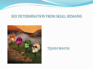 SEX DETERMINATION FROM SKULL REMAINS
TEJASVI BHATIA
 