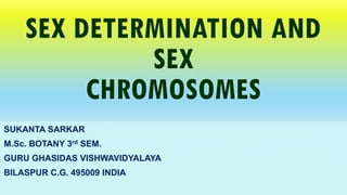 SEX DETERMINATION AND
SEX
CHROMOSOMES
SUKANTA SARKAR
M.Sc. BOTANY 3rd SEM.
GURU GHASIDAS VISHWAVIDYALAYA
BILASPUR C.G. 495009 INDIA
 